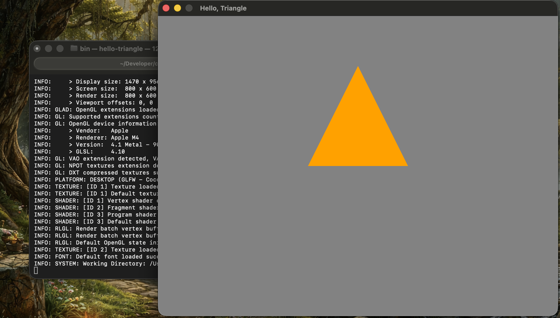 Hello Triangle running natively on macOS / Apple Silicon